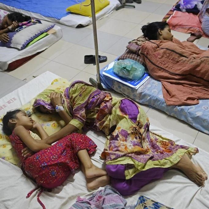 Dengue outbreak in Bangladesh sparks alarm after 364 people die this year and infections rise